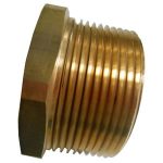 Exe/Exd blindplug N5 - 1.1/2NPT
